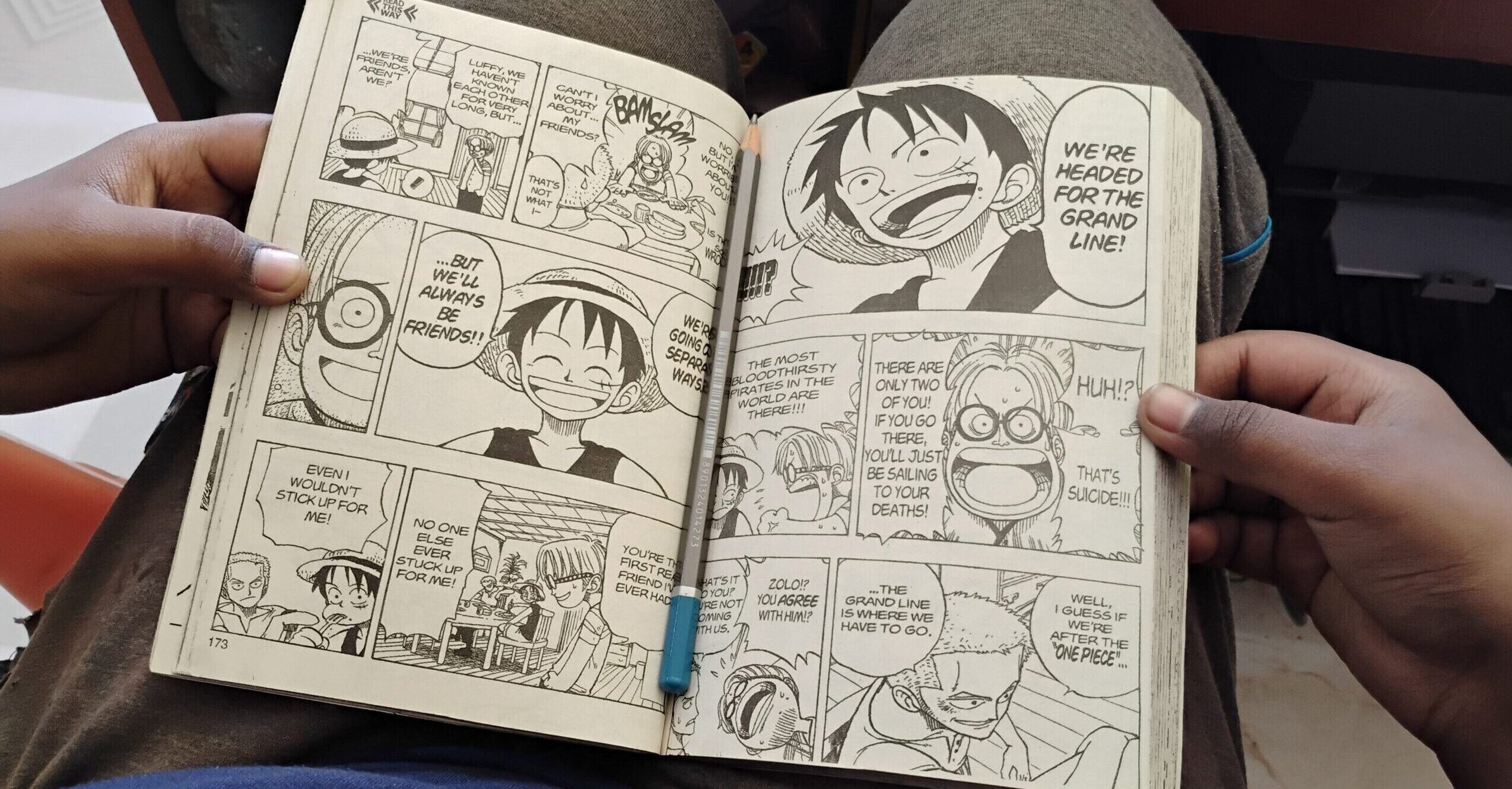 Person,Reading,A,Manga,Book,While,Seated,Indoors,,Casual